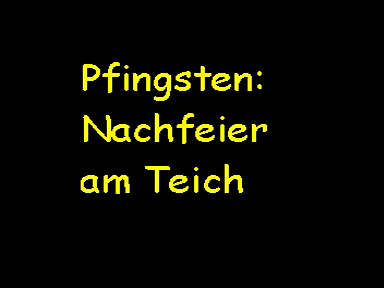 pfingstenteich_001