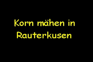 Kornmähen in Rauterkusen