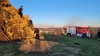 2022-04-Ostern-145