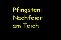 Pfingsten-am-Teich